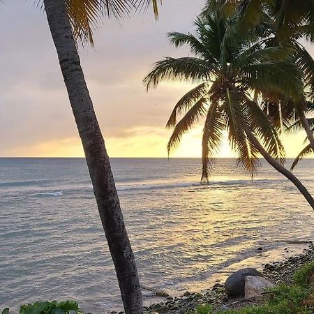 Seaside Serenity Suite Humacao Exterior photo