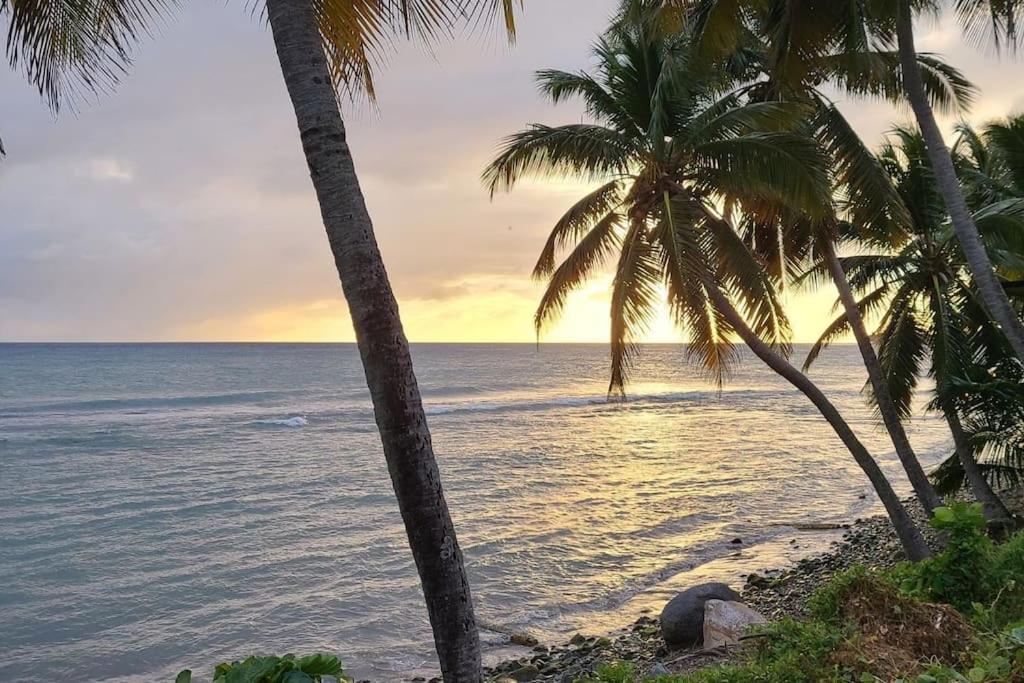 Seaside Serenity Suite Humacao Exterior photo